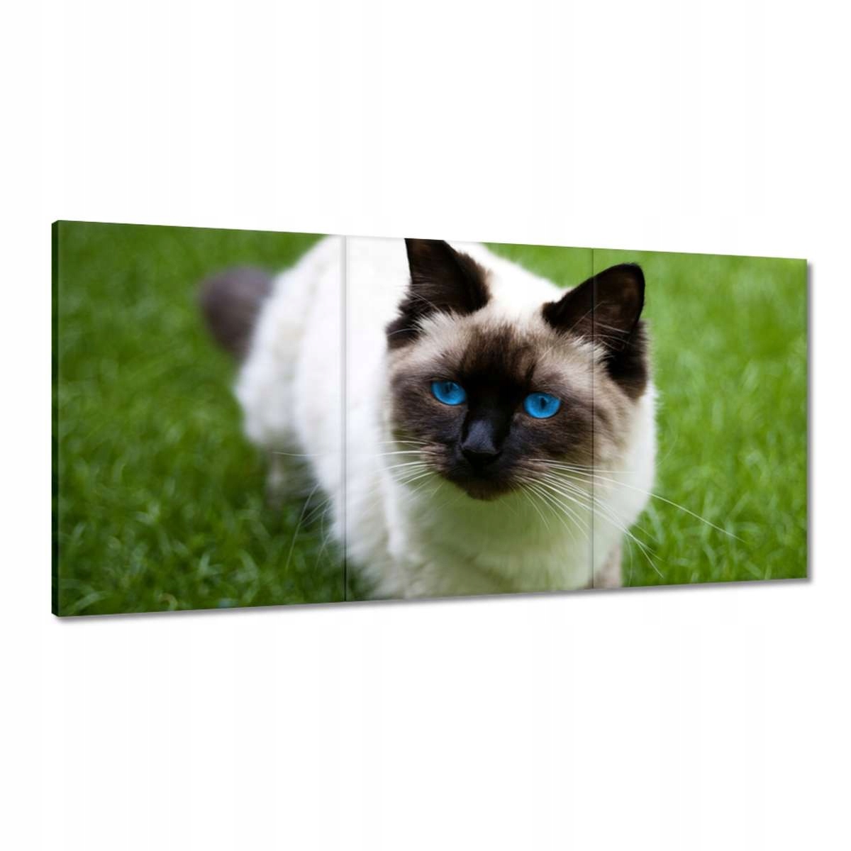 Obrazy 180x90 Odpočinok na tráve