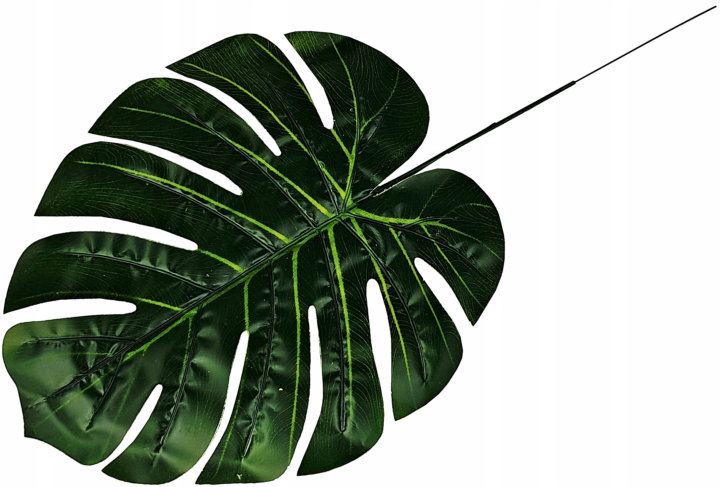 LIŚĆ GUMOWY 57,5 cm LIŚCIE SZTUCZNE KWIATY GUMA