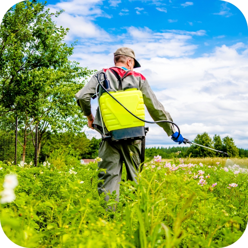 ROUNDUP 360 PLUS RANDAP 1L + ADIUWANT = LEPSZA SKUTECZNOŚĆ ZWALCZANIA Pojemność 1 l