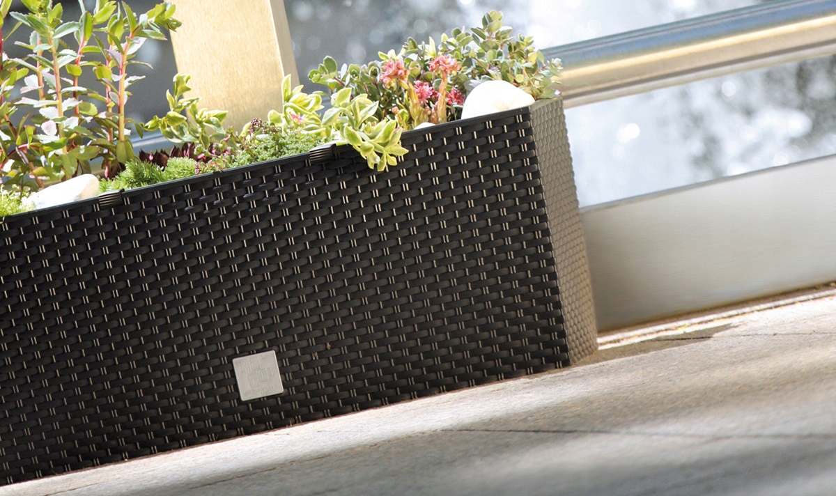 DONICA balkonowa RATO CASE DRTC500 Umbra DONICZKA ziemia Kod producenta DRTC800-7529U