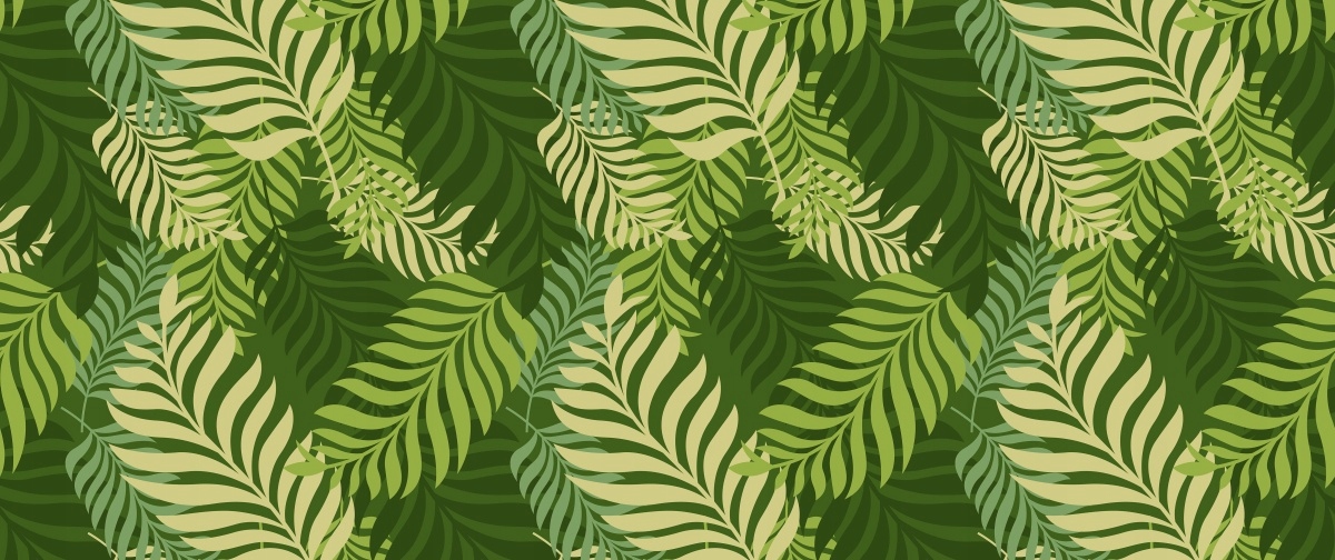 

Fototapeta Flizelina Liście palmowe 250x104
