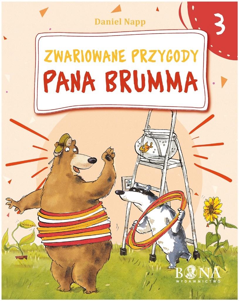 Knihy k Čtení pro Děti Povídka Pohádka Bláznivá dobrodružství Bruma