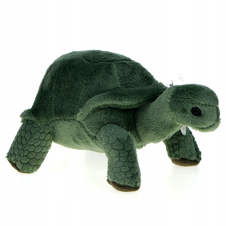 

Zoo: maskotka pluszowa Żółw lądowy 20cm (69372)