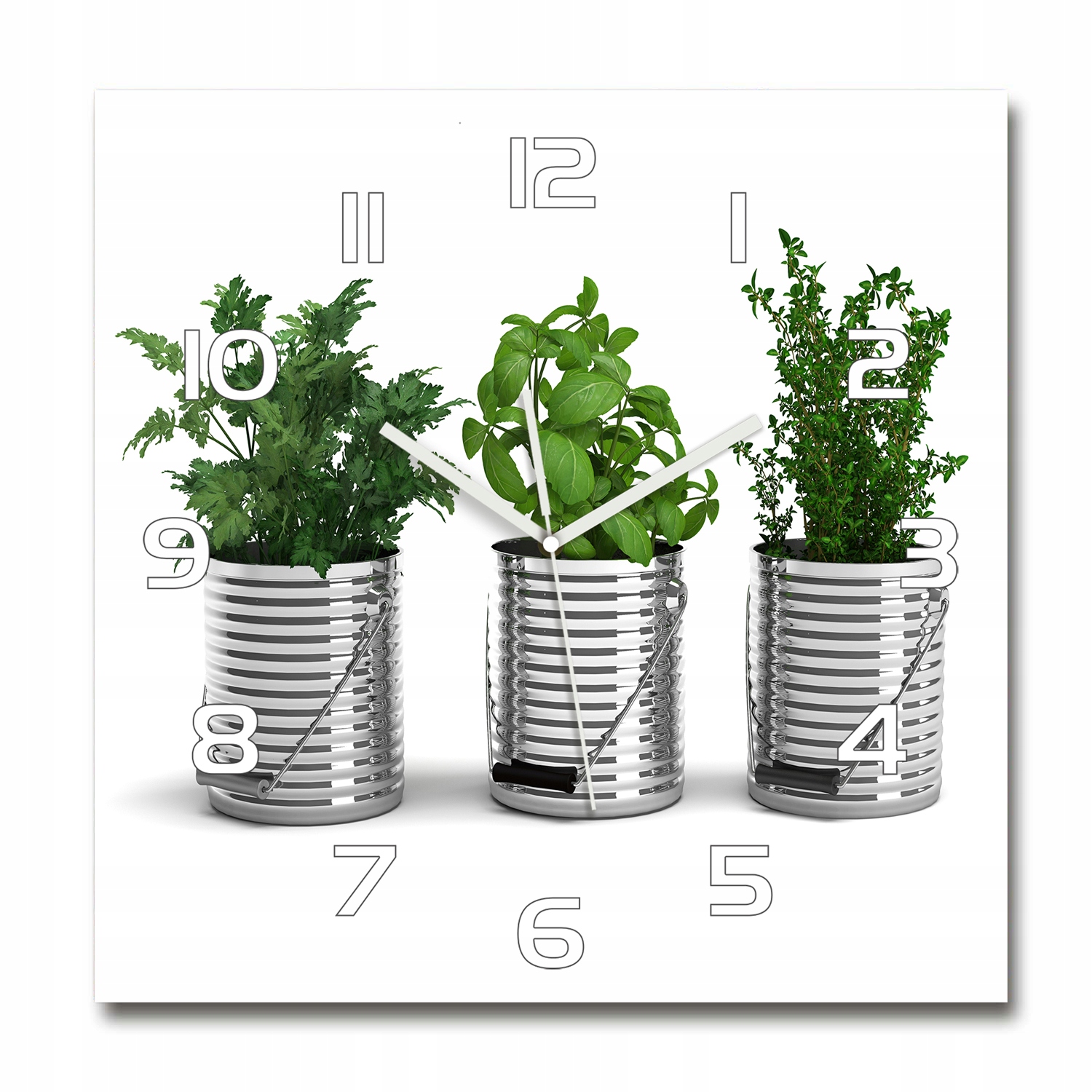 

Cichy szklany zegar Aromatyczne rośliny 60x60 cm