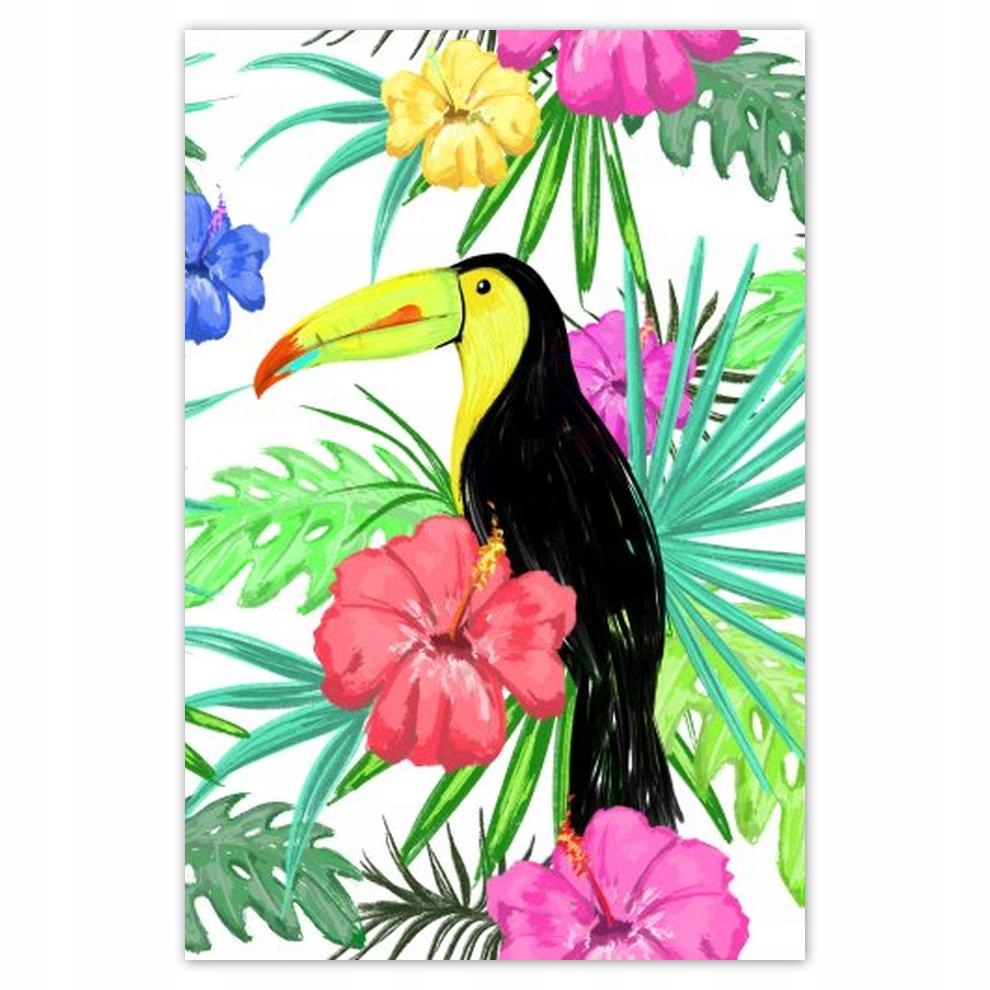 

Plakaty 40x60 Monstera Tukan Hibiskus