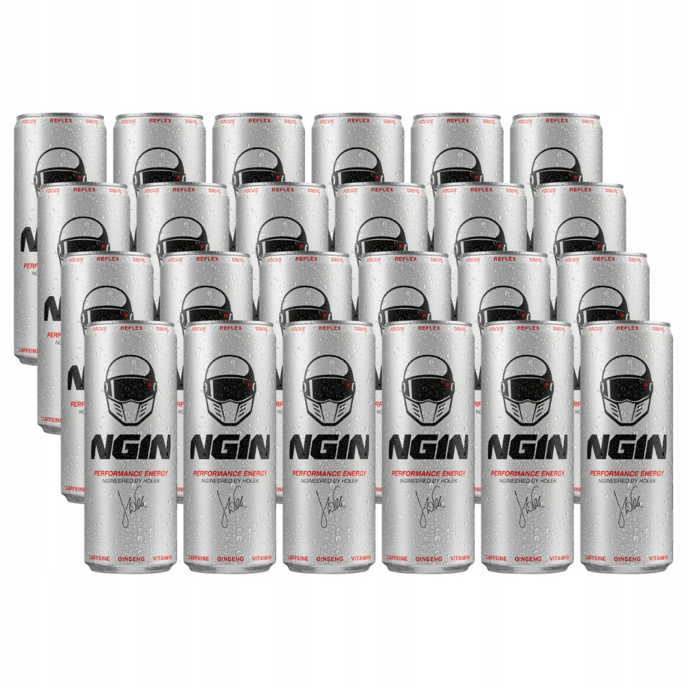 Ngin Sycený energetický nápoj 250 ml x 24 kusů
