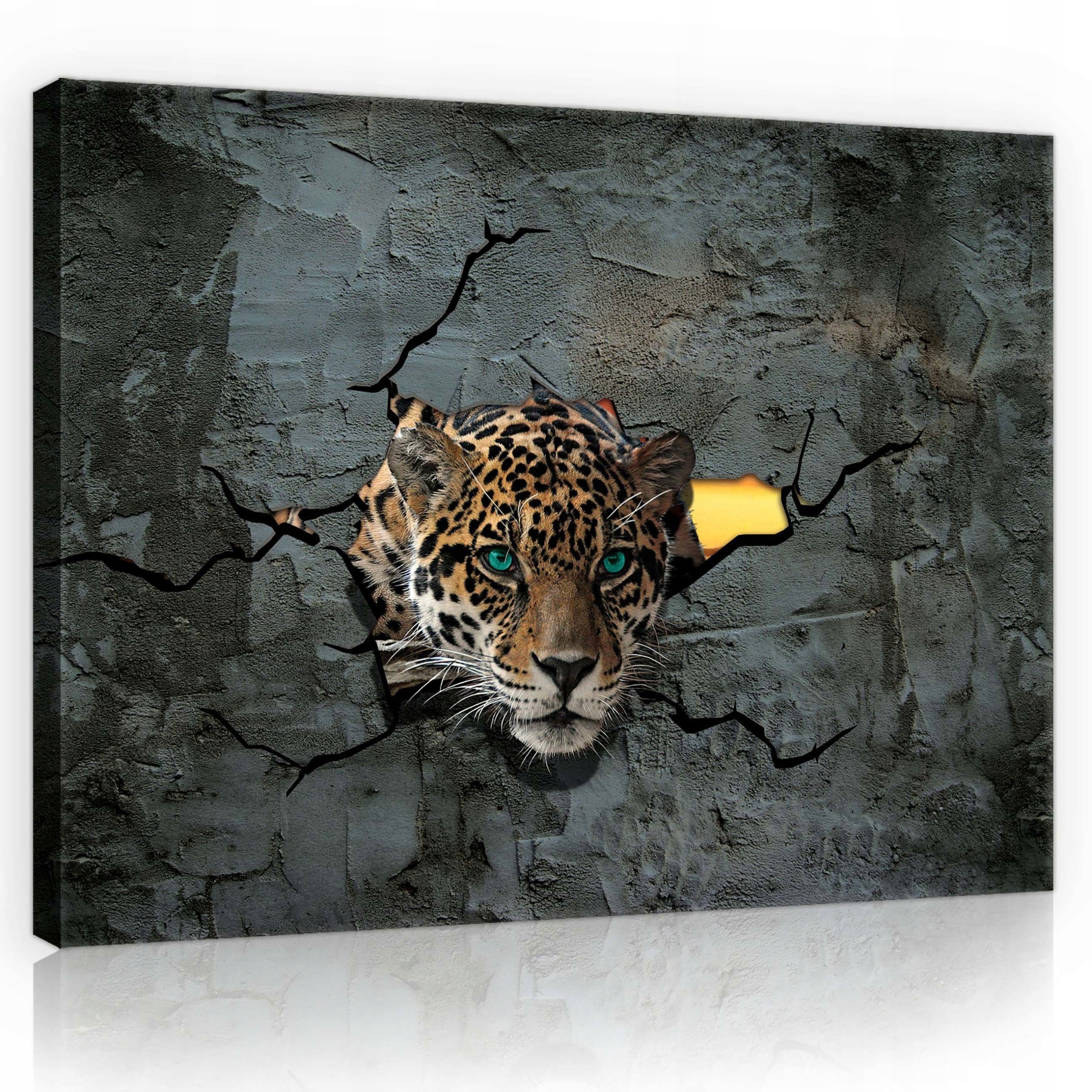 Obraz 70x50 Pohled přes zeď Jaguar High-Tech vizuální prvek