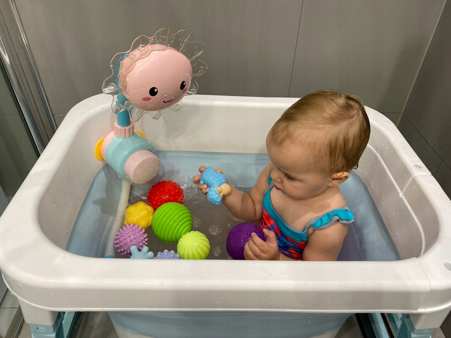 Gumowe zabawki zabawka do kąpieli FARMA 0012 Kolor dominujący wielokolorowy