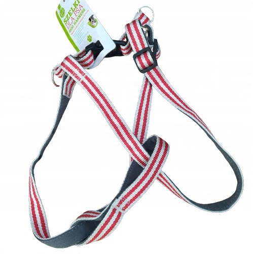 

Szelki dla psa ActivPet 55-70 cm