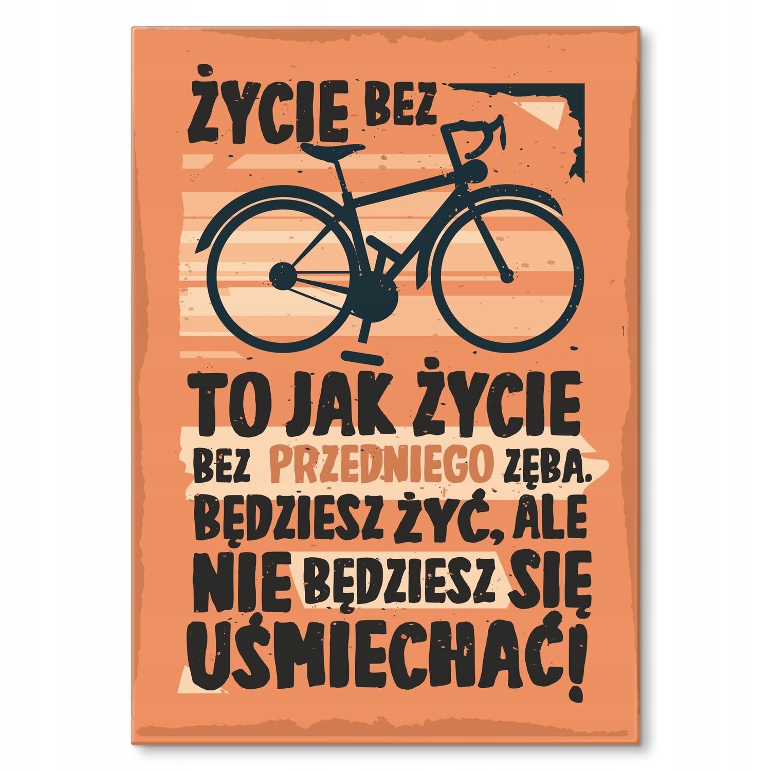 Kovový plakát Život bez kola Dárek 42 x 59 cm