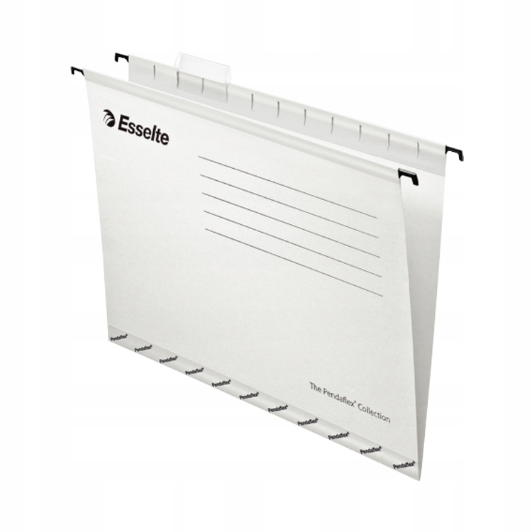 

Teczka zawieszana A4 Esselte Pendaflex Standard bi