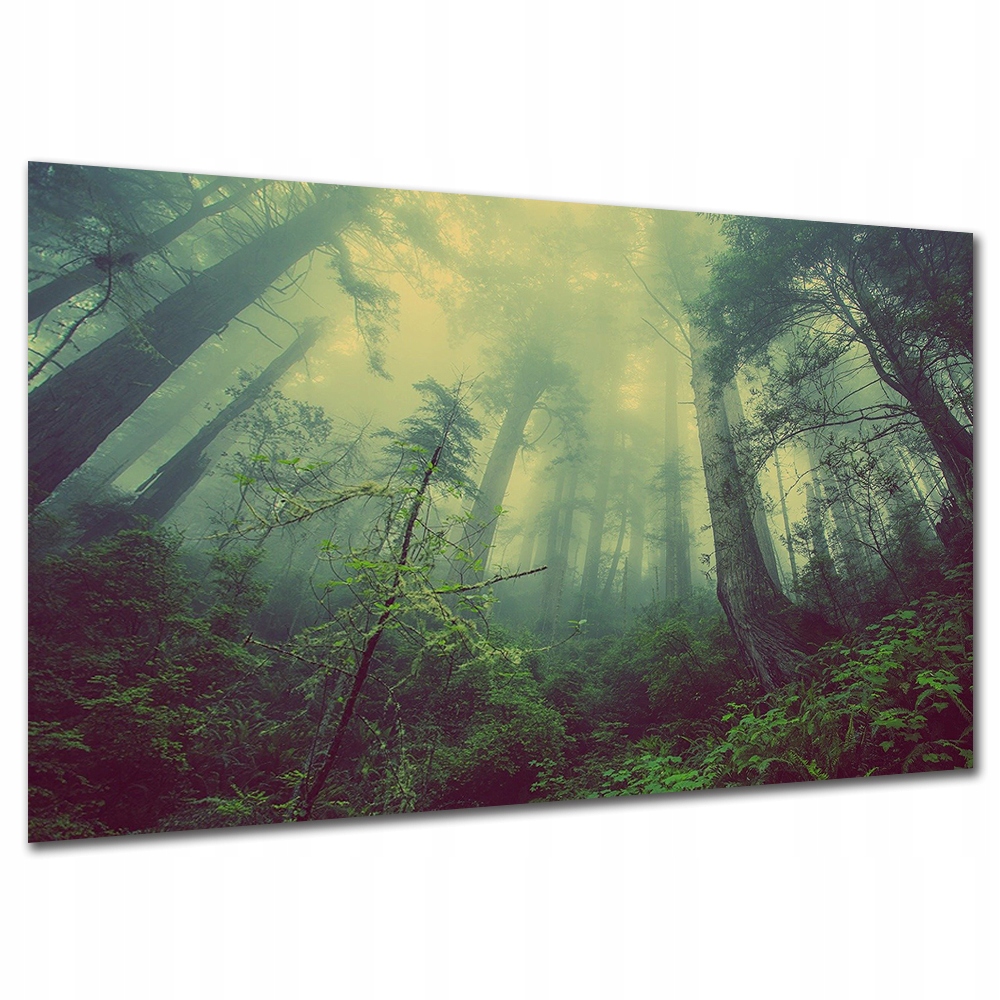 

Obraz do salonu Las L1 120x80cm we mgle