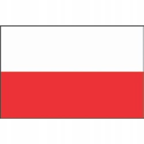 BANDERA POLSKI 20X30 CM