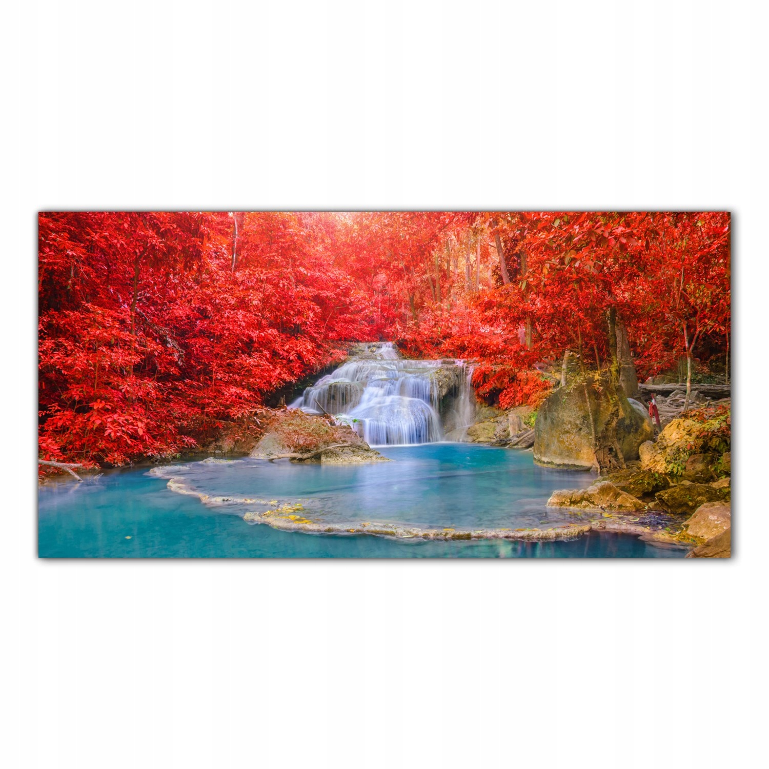 Vodopád Les Stromy 100x50 Panely tvrzené sklo