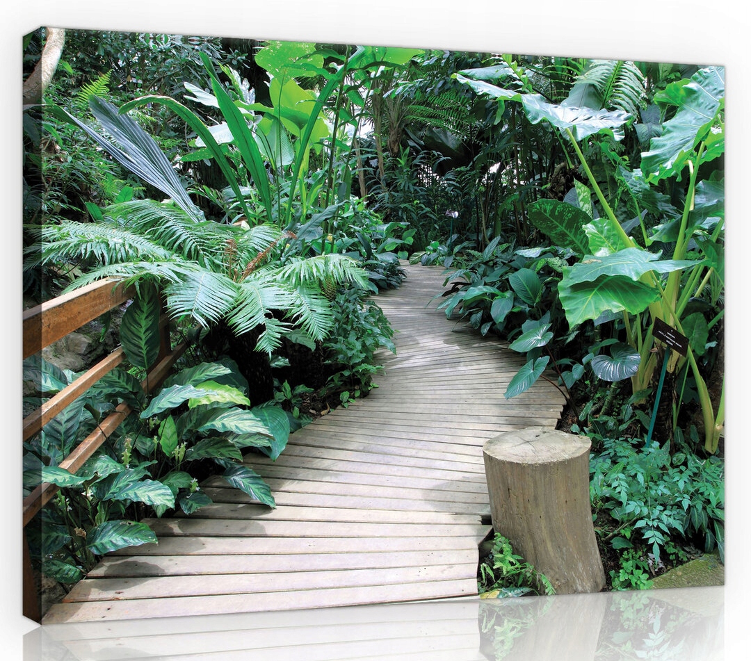 Obraz Na Plátně Canvas 80x60 Rostliny Stezka