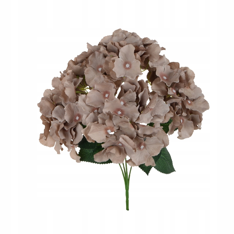 

Hortensja bukiet cappuccino 45cm