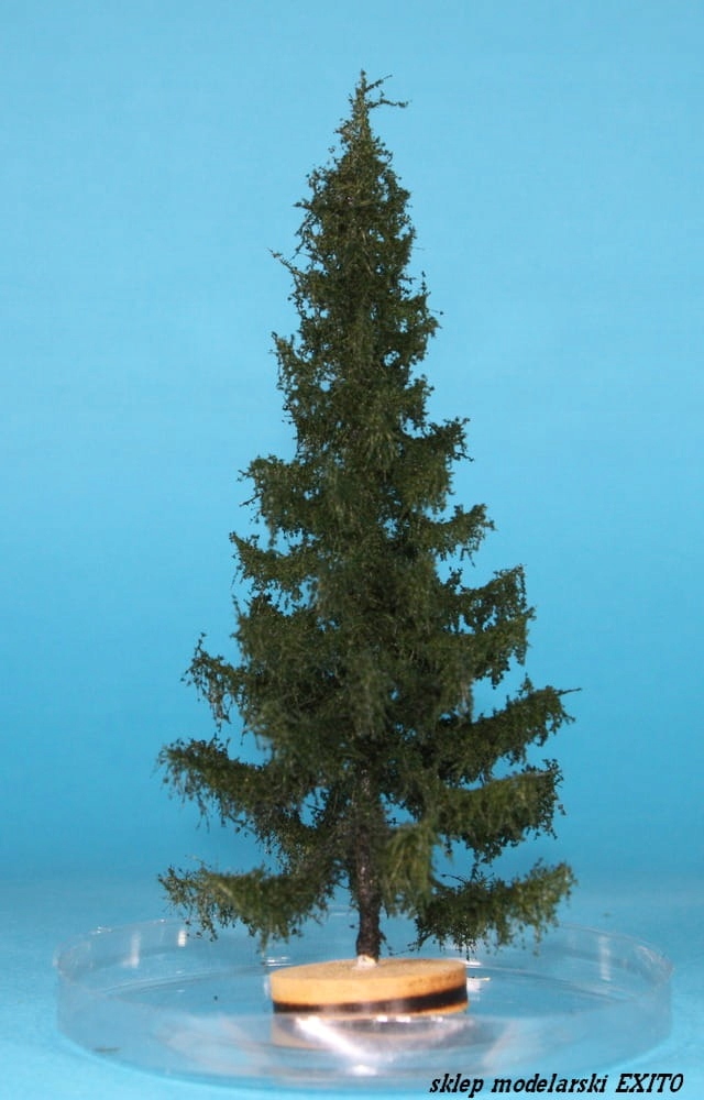 

Freon SWI1 Świerk wysokość 14-18 cm