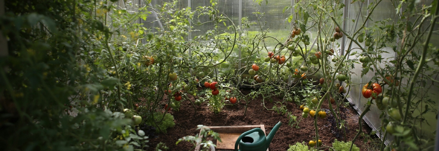 BECZKA PLASTIKOWA na wodę DO KISZENIA KAPUSTY OGÓRKÓW 50L KWADRATOWA atest Materiał dominujący tworzywo sztuczne