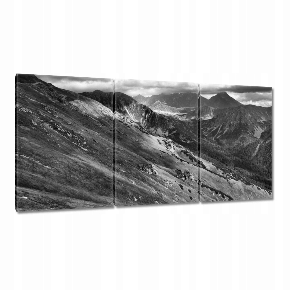 

Obrazy 120x60 Tatry Polskie góry Widok