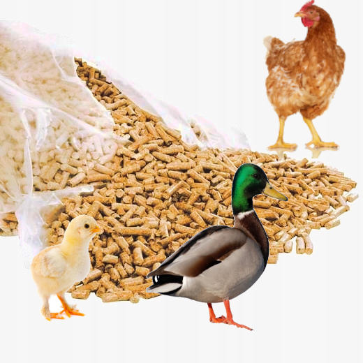 SŁOMA ŚCIÓŁKA DLA KUR DO KURNIKA GRANULAT 10 KG