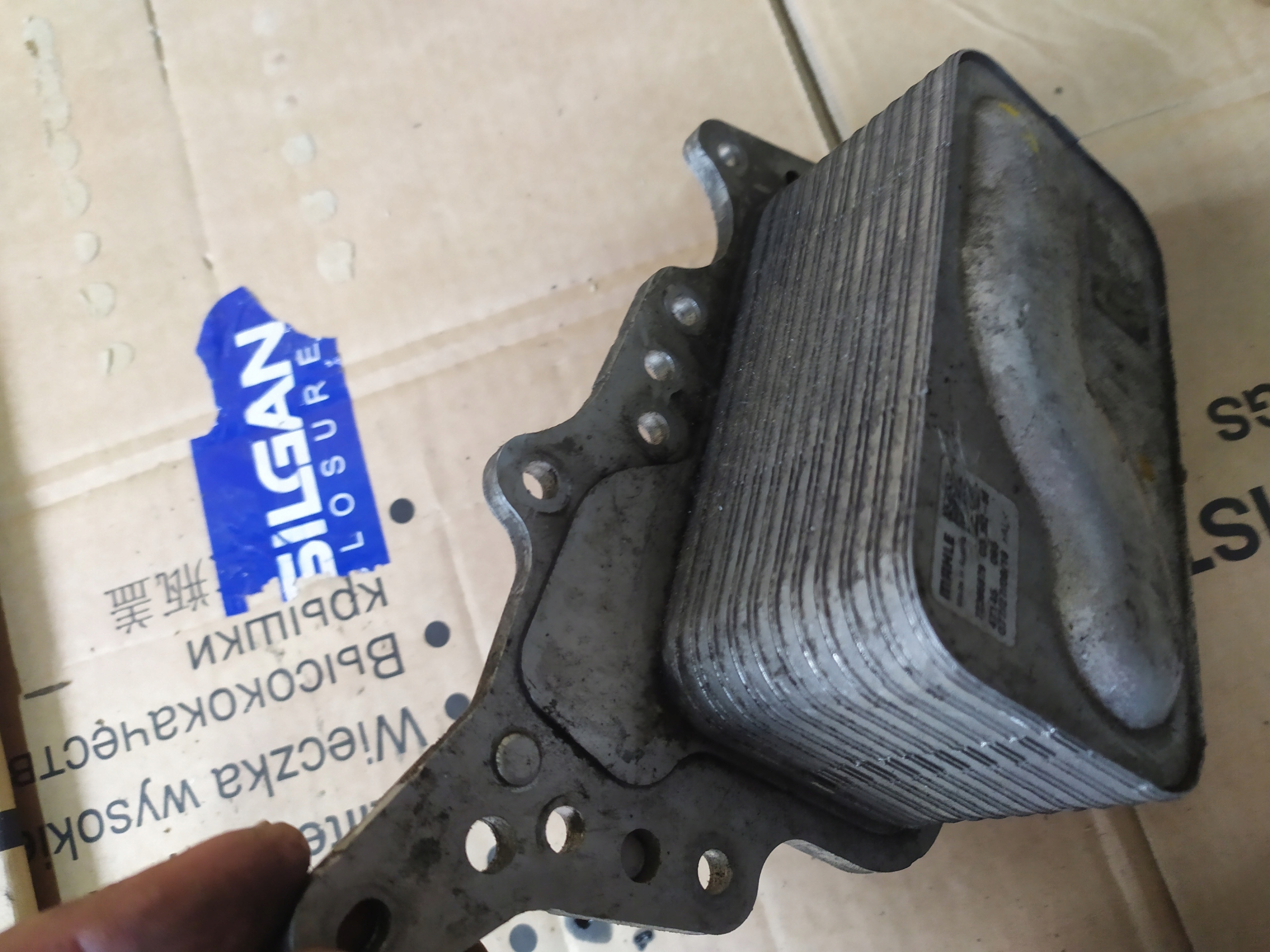 CHŁODNICZKA OLEJU 72395879 SCENIC IV Producent części Renault