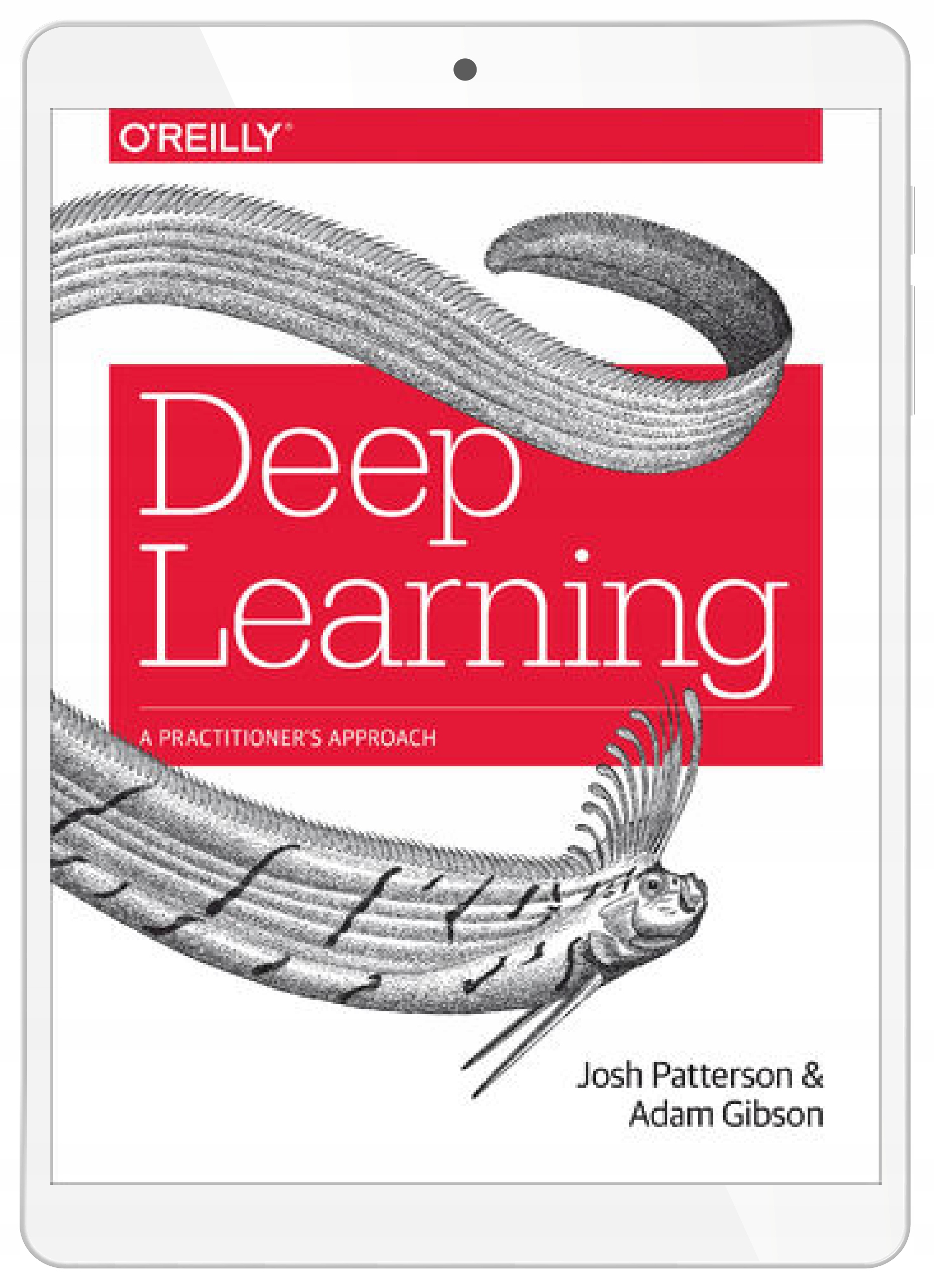 Deep Learning. A Practitioner's Approach