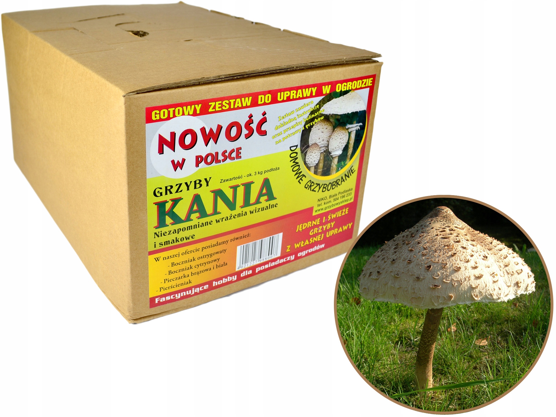 

Grzybnia Kania Grzyby Gotowe Podłoże Sowa Czubajka