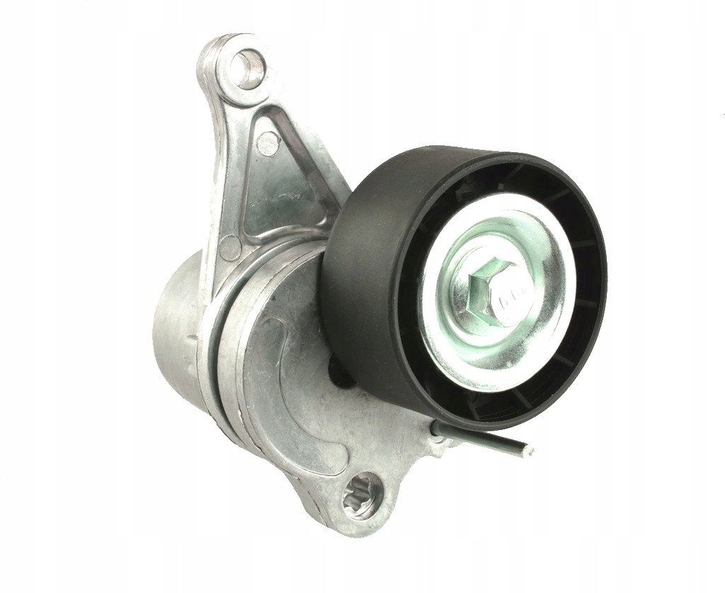 033.030.0068 - НАТЯГУВАЧ РЕМЕНЯ MICRO-V RENAULT MASTER 10+