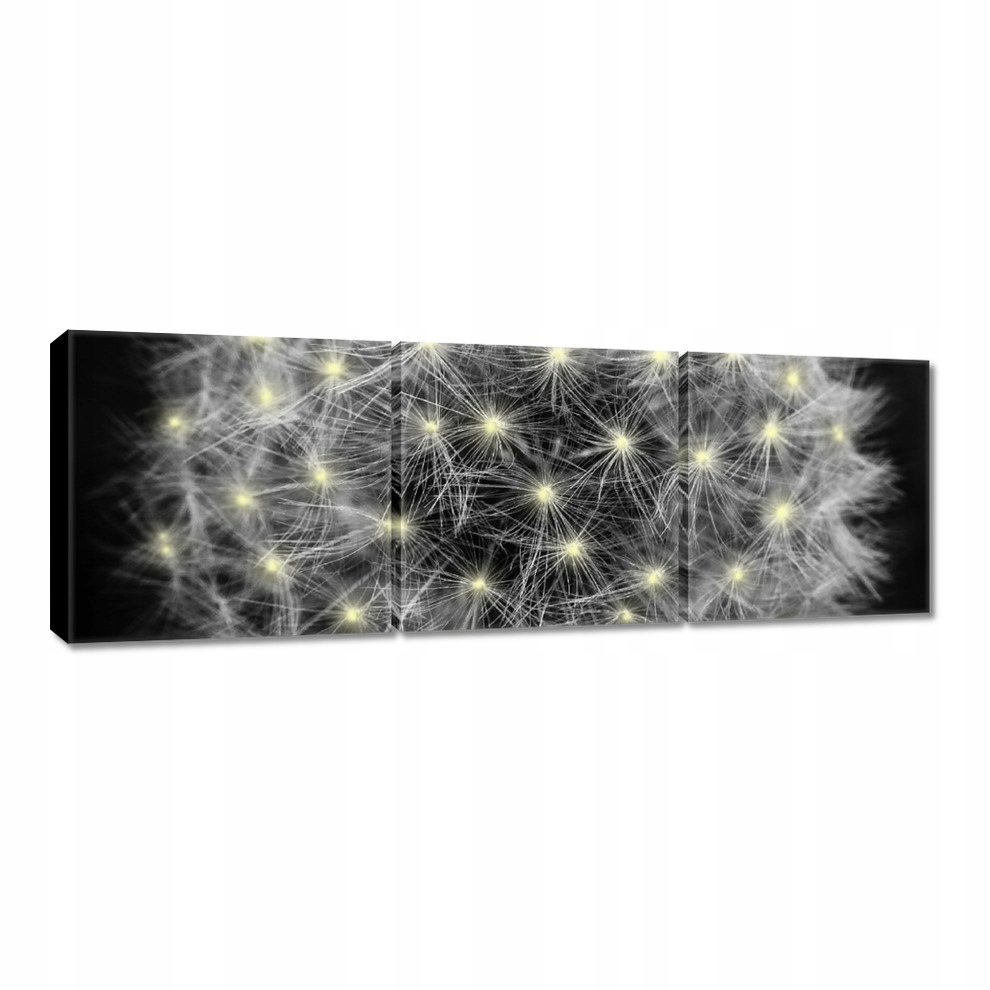

Obrazy 60x20 Dmuchawiec Kwiat Kwiatki
