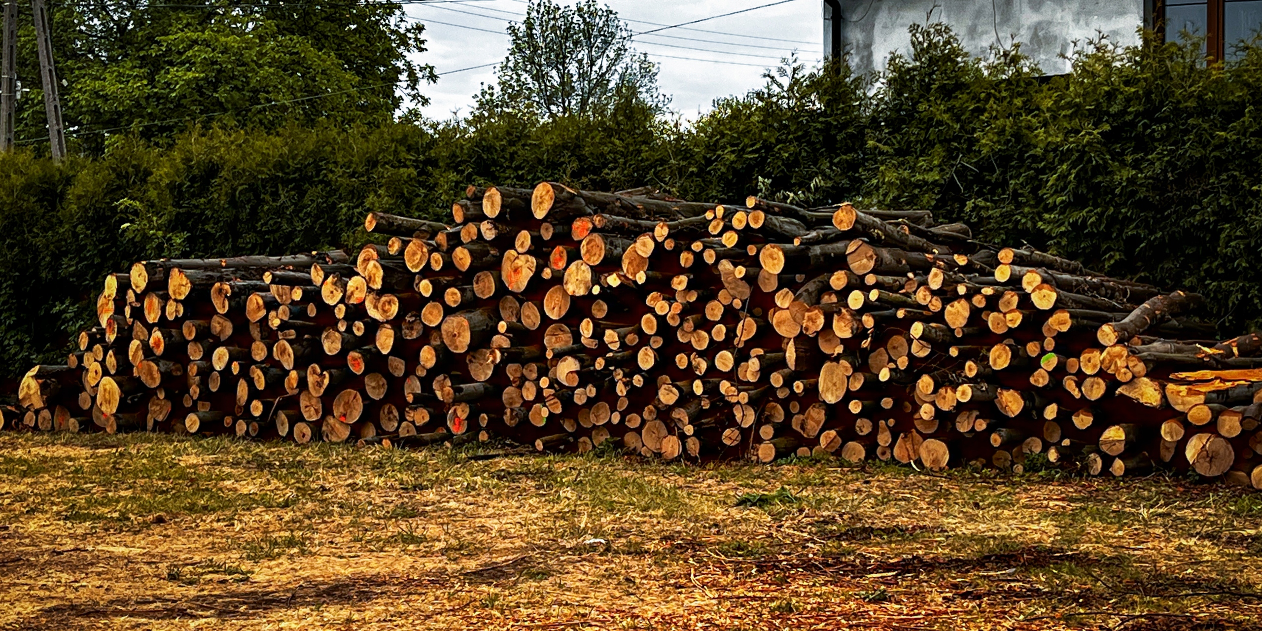 DREWNO DO KOMINKA KOMINKOWE 20 KG DO GRILLA, OGNISKA, WĘDZENIA, OPAŁ, OLCHA Marka bez marki