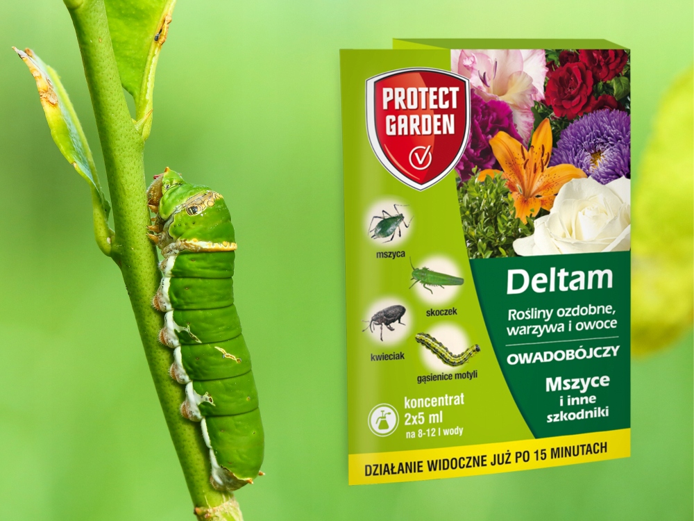 DELTAM INSEKTYCYD OWADOBÓJCZY środek na mszyce gąsienice szkodniki 2x5ml Forma płyn