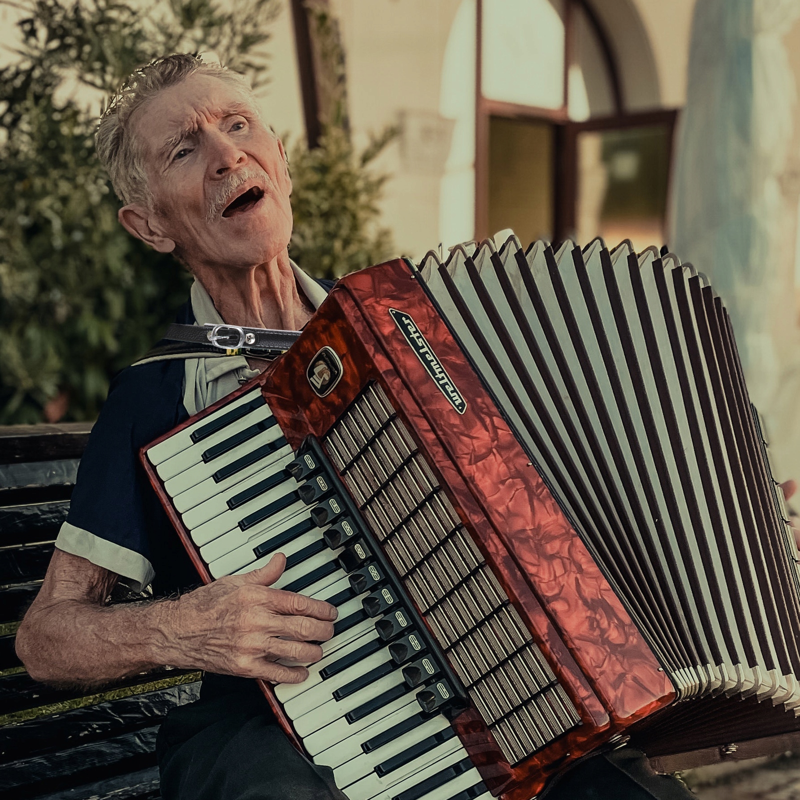 COOL BASS PASEK AKORDION PASKI NA RAMIONACH Kolor czarny