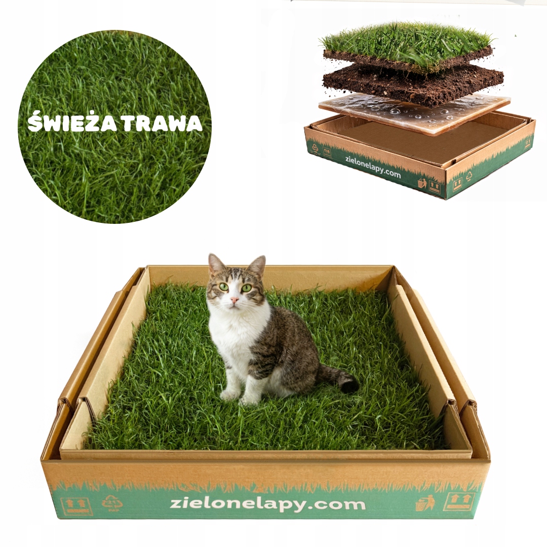 Levně Toaleta pro kočky z přírodní trávy 50×50 cm ekologická toaleta