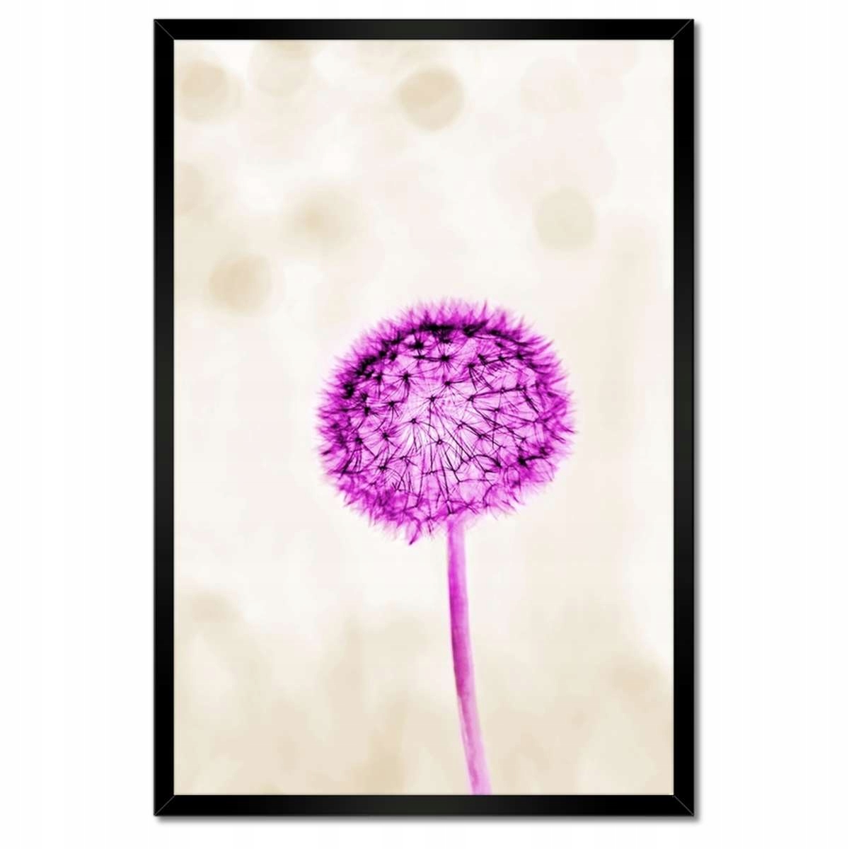Plakáty v rámu 40x60 Fialový Pampeliška