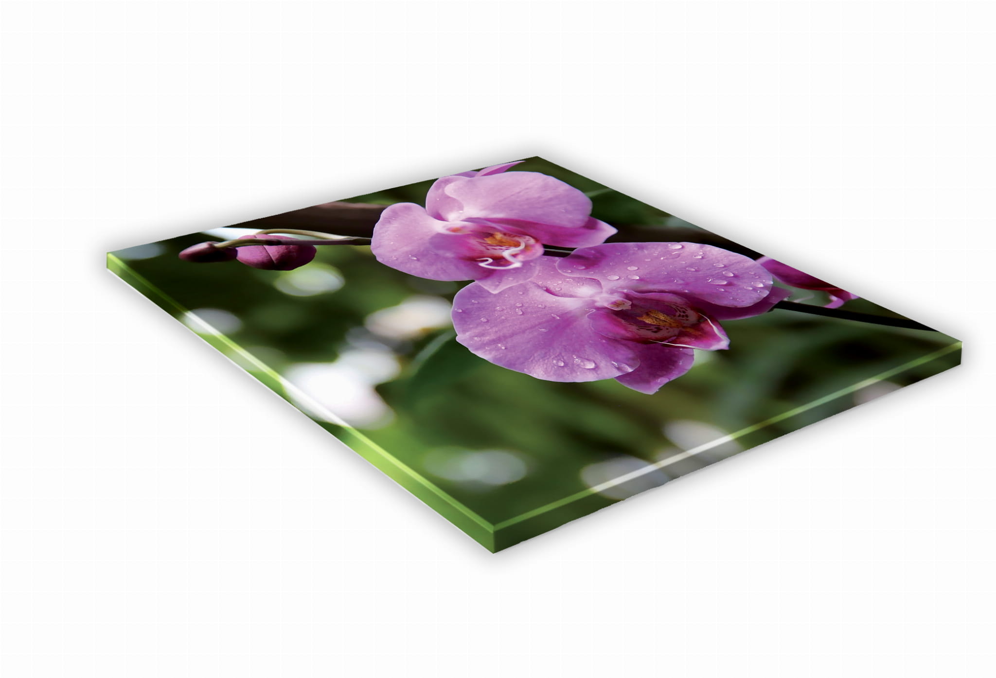 SZKLANA DESKA KUCHENNA 25x25 441e Różowa orchidea