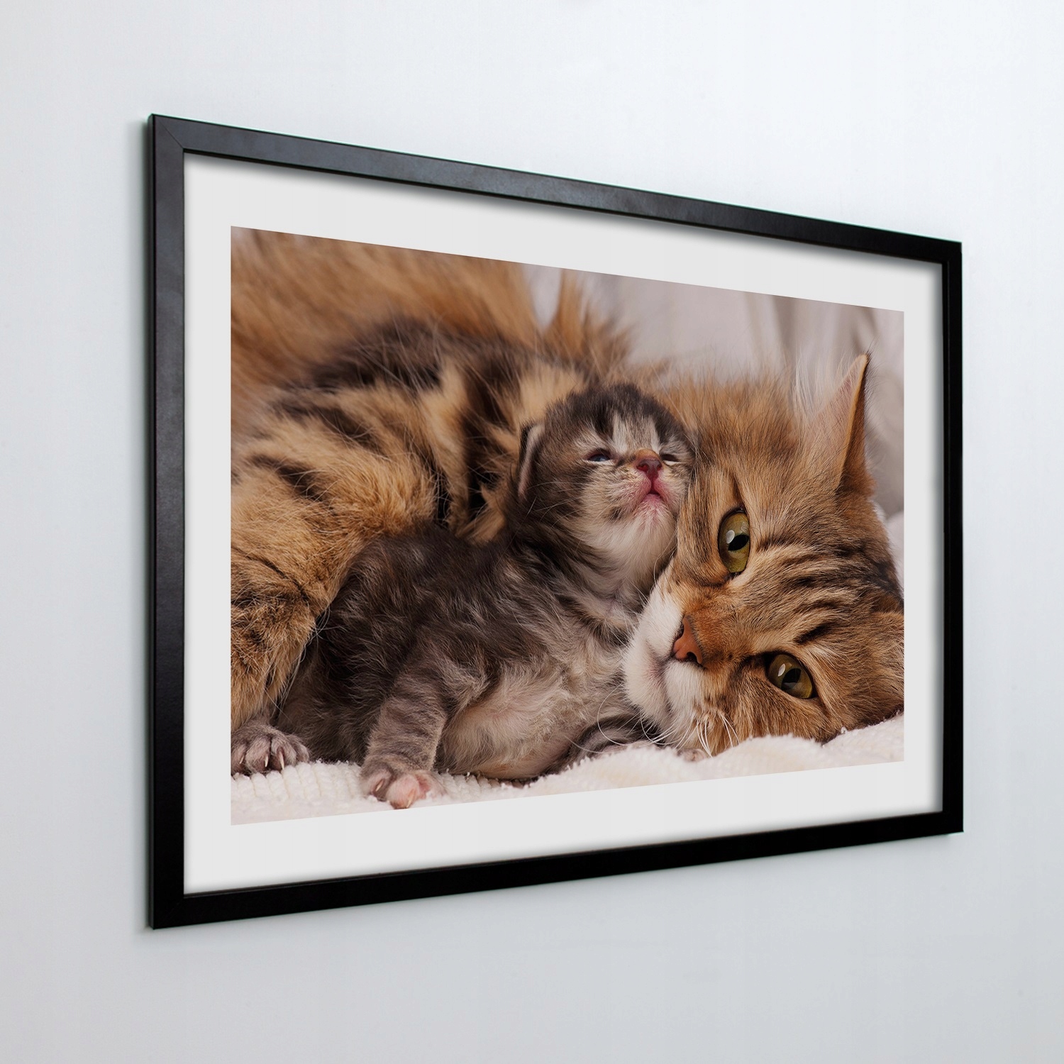 

Ścienny foto-obraz w ramie Rodzina koty 70x50 cm
