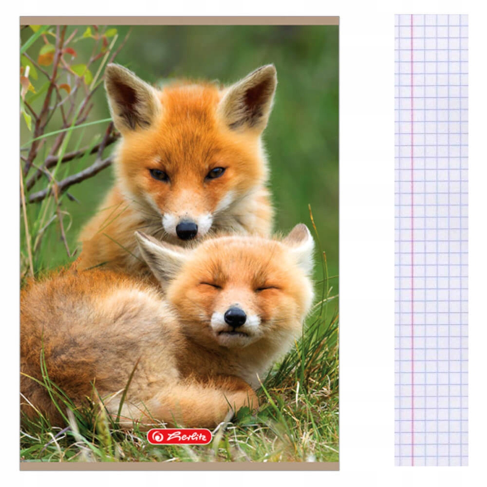 

Zeszyt A5 32 kartki w kratkę Animals Herlitz