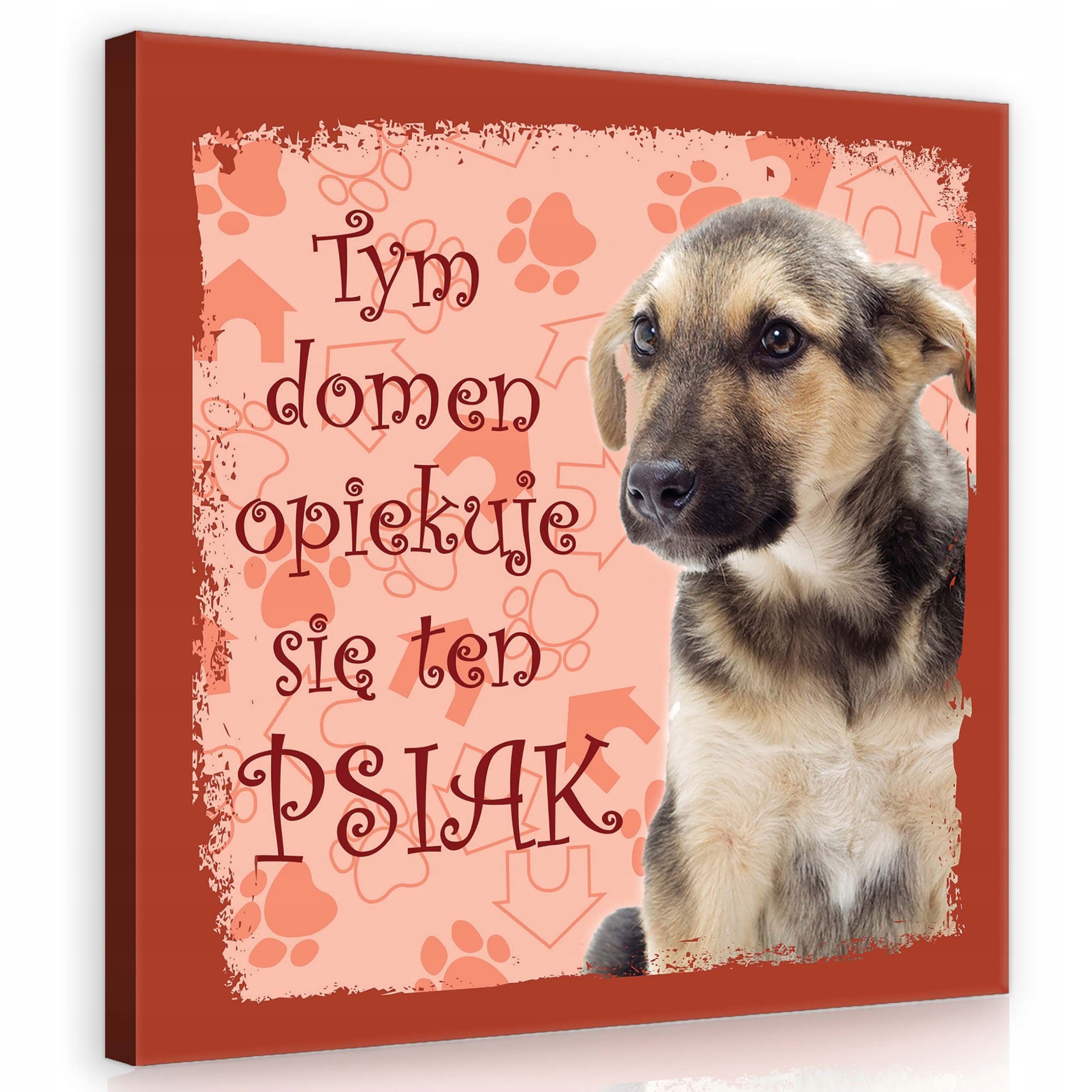 Obraz 80x80 Pahorky duny nebe mraky západ slunce prostor příroda
