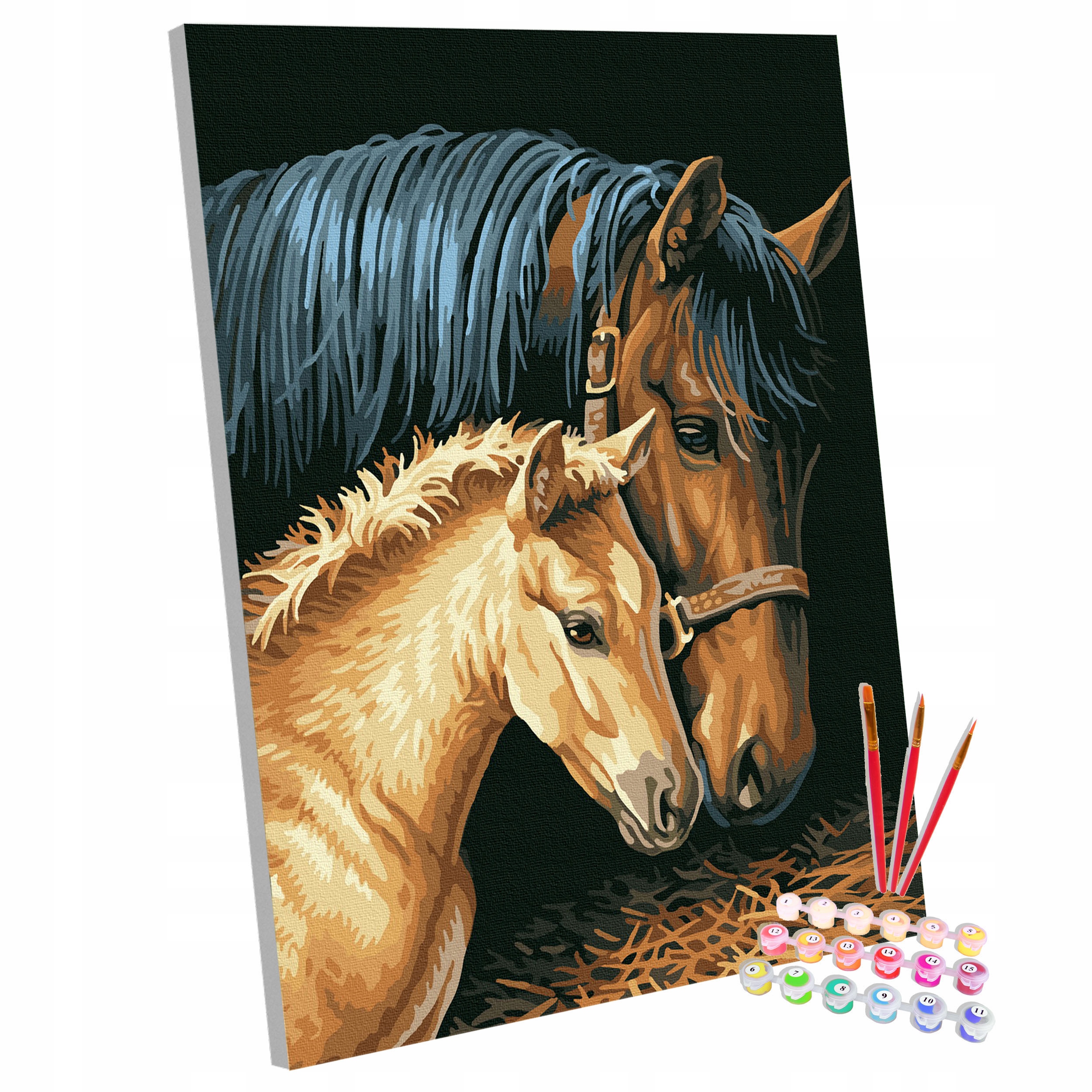 Sada Obraz na malování Malování Podle Čísel Na rámu Kůň 40x50 cm