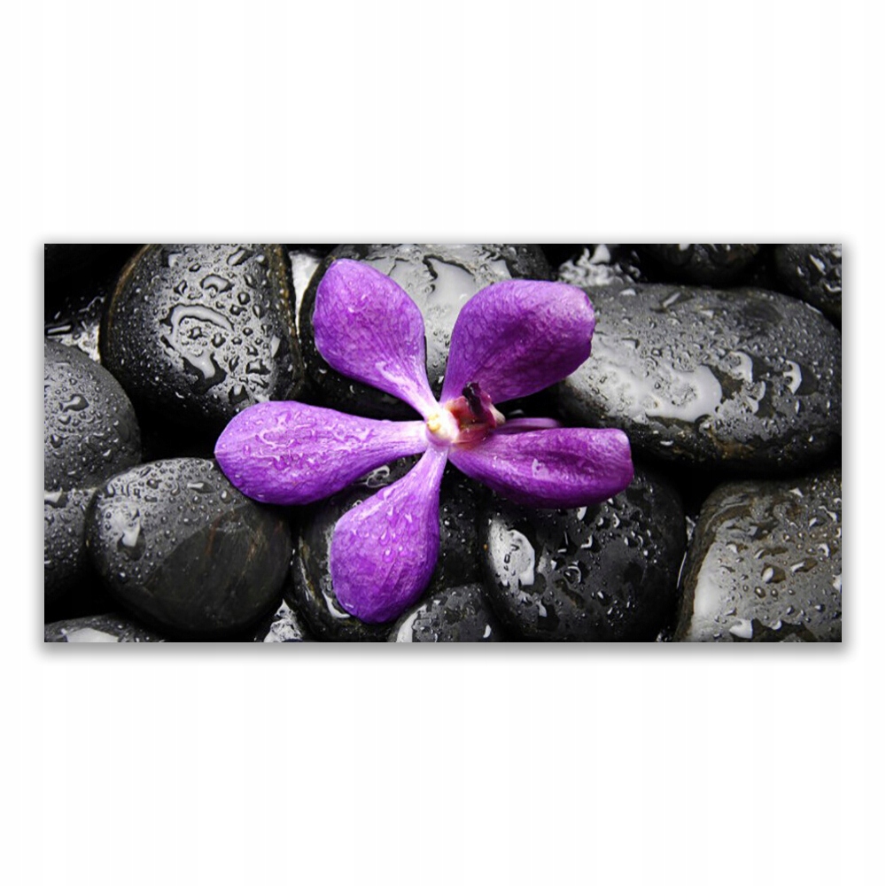 

Fotoobraz nowoczesny 120x60 Kwiat Kamienie Sztuka