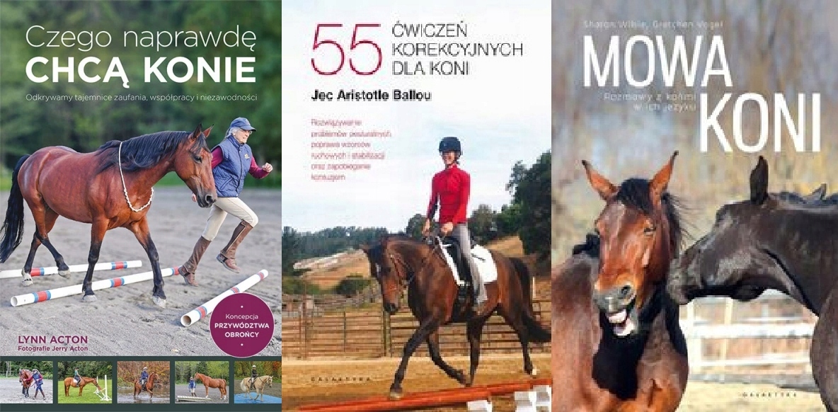 Co koně chtějí 55 cvičení Řeč koní Rozhovory