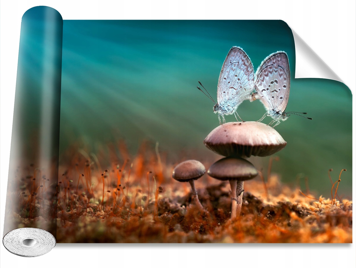 

Tapeta Samoprzylepna Motyle Grzyb 208x146