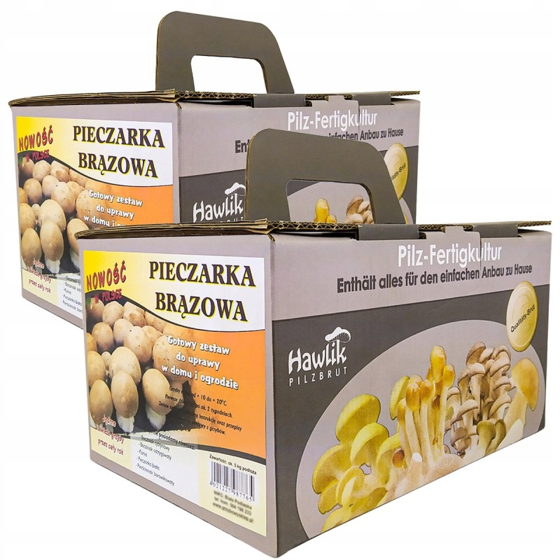 

Grzyby w Domu Pieczarka Brązowa Grzybnia Duże Opak