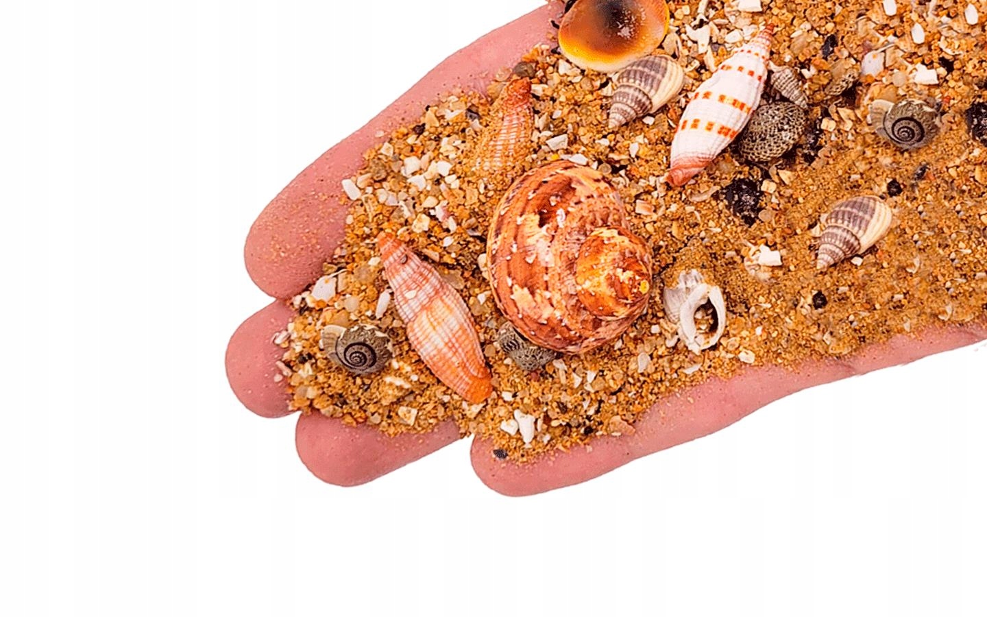 Levně Wio Nautilus Tan Riverbed 0,1-5 CM 5 Kg