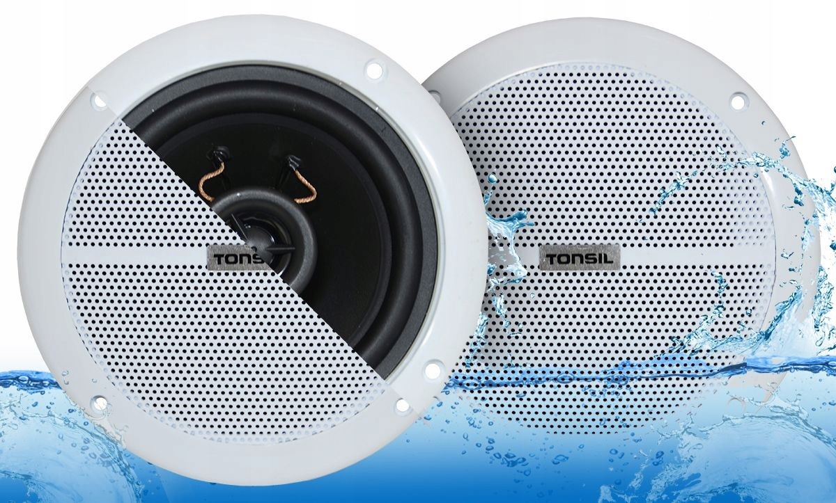 

2 x Zgsu 13/2-DR Sufitowy Wewnętrzny 20W Rms