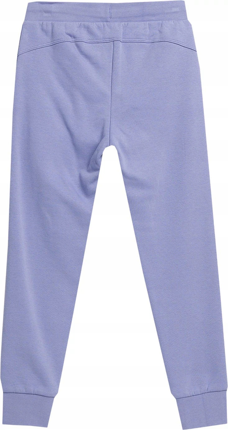 SPODNIE DZIEWCZĘCE MŁODZIEŻOWE DRESOWE SPORTOWE DŁUGIE JOGGERY 4F 158cm Marka 4F