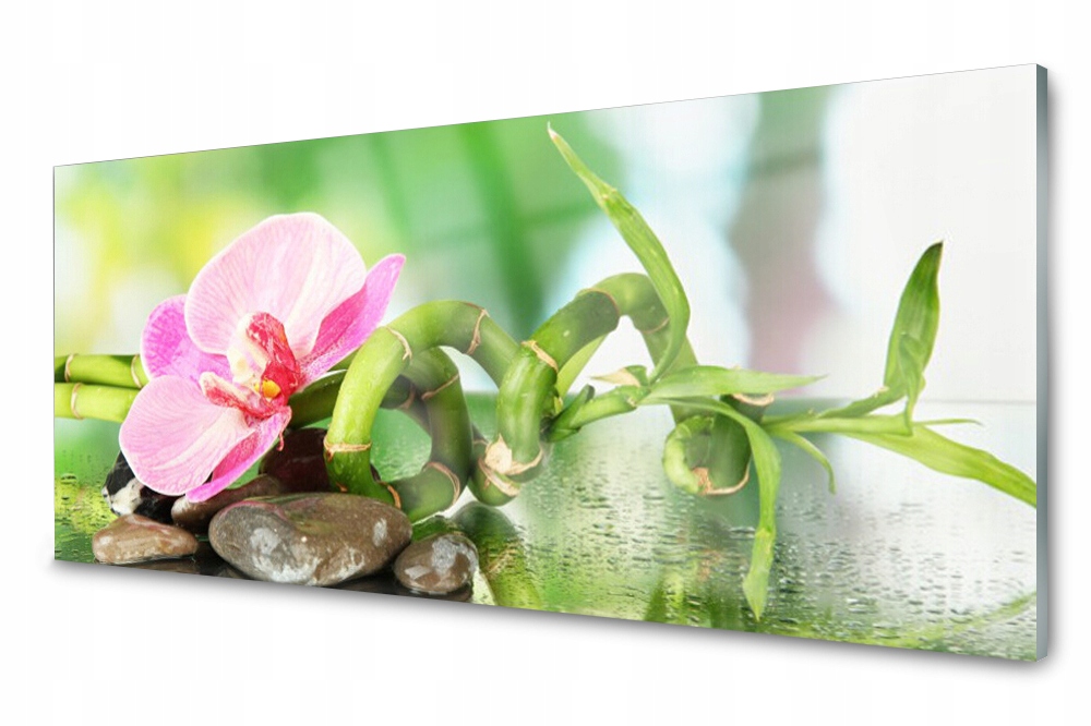 

Panel szklany do kuchni Bambus Roślina 125x50