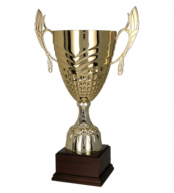 Puchar metalowy złoty Dabi 46cm