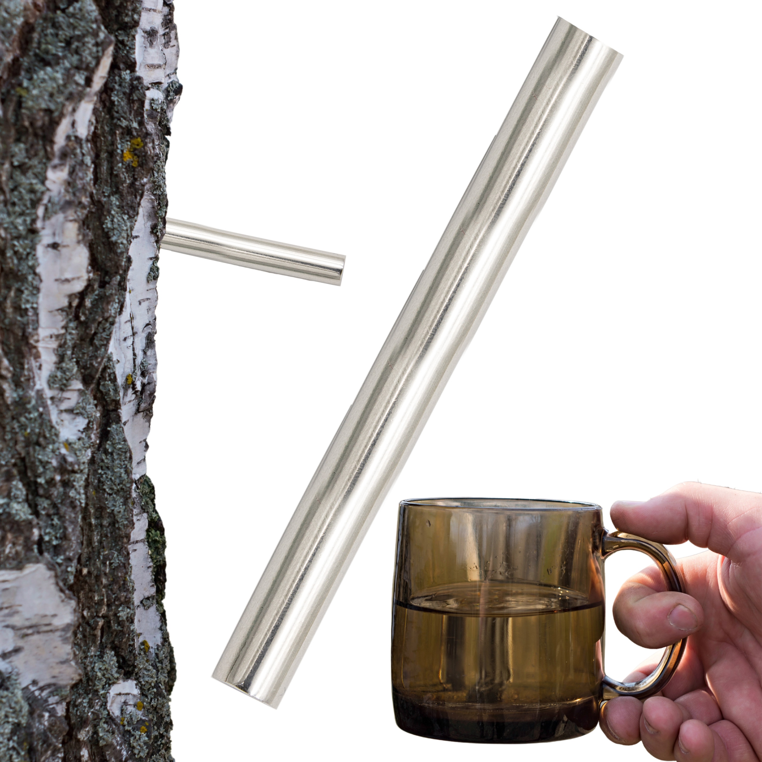 Trubka Kapilára pro šťávu z břízy Oskola Břízová voda pro sběr oskola