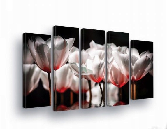 Obraz 150x100 Bílé květy růžové květy červené květy tmavé pozadí